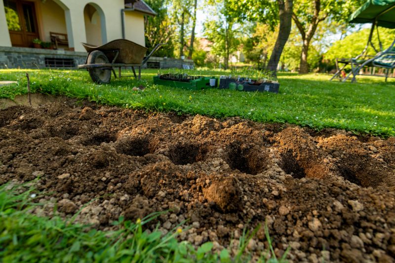 Flower Bed Cleanup Service in Ventura County, CA
